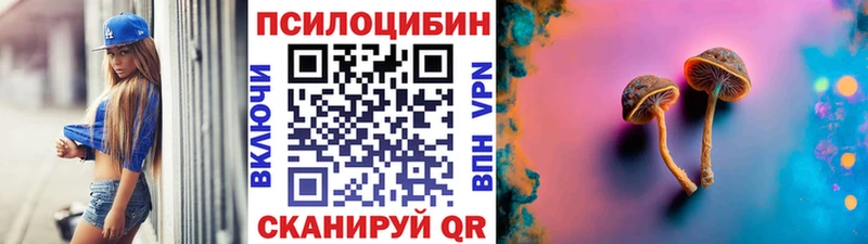 Псилоцибиновые грибы Cubensis  купить закладку  Выкса 